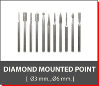 Diamond Mounted Point [dia 3 mm.,6 mm.]